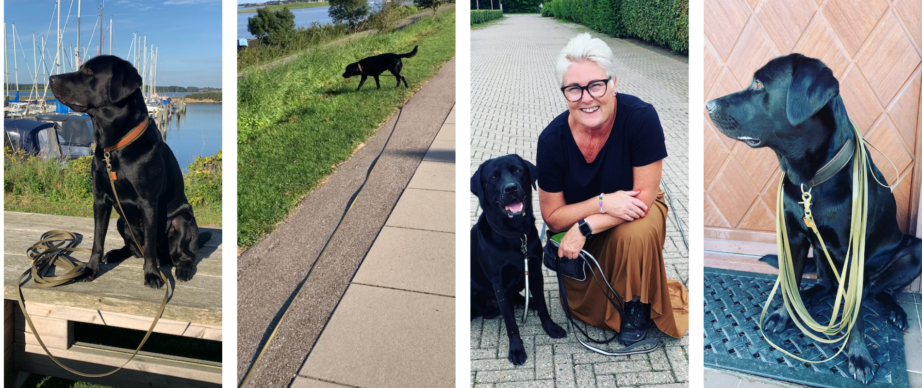 Mindfull dogtrainer og Walther