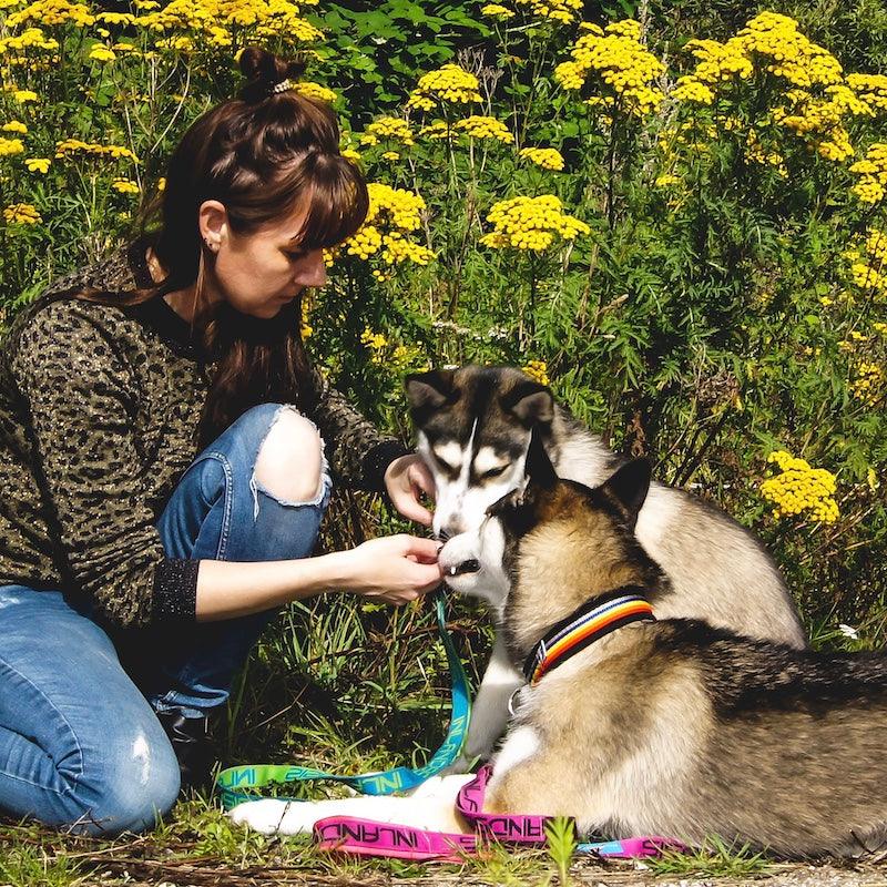 Enrichment – meget mere end bare foder - HipsterHound