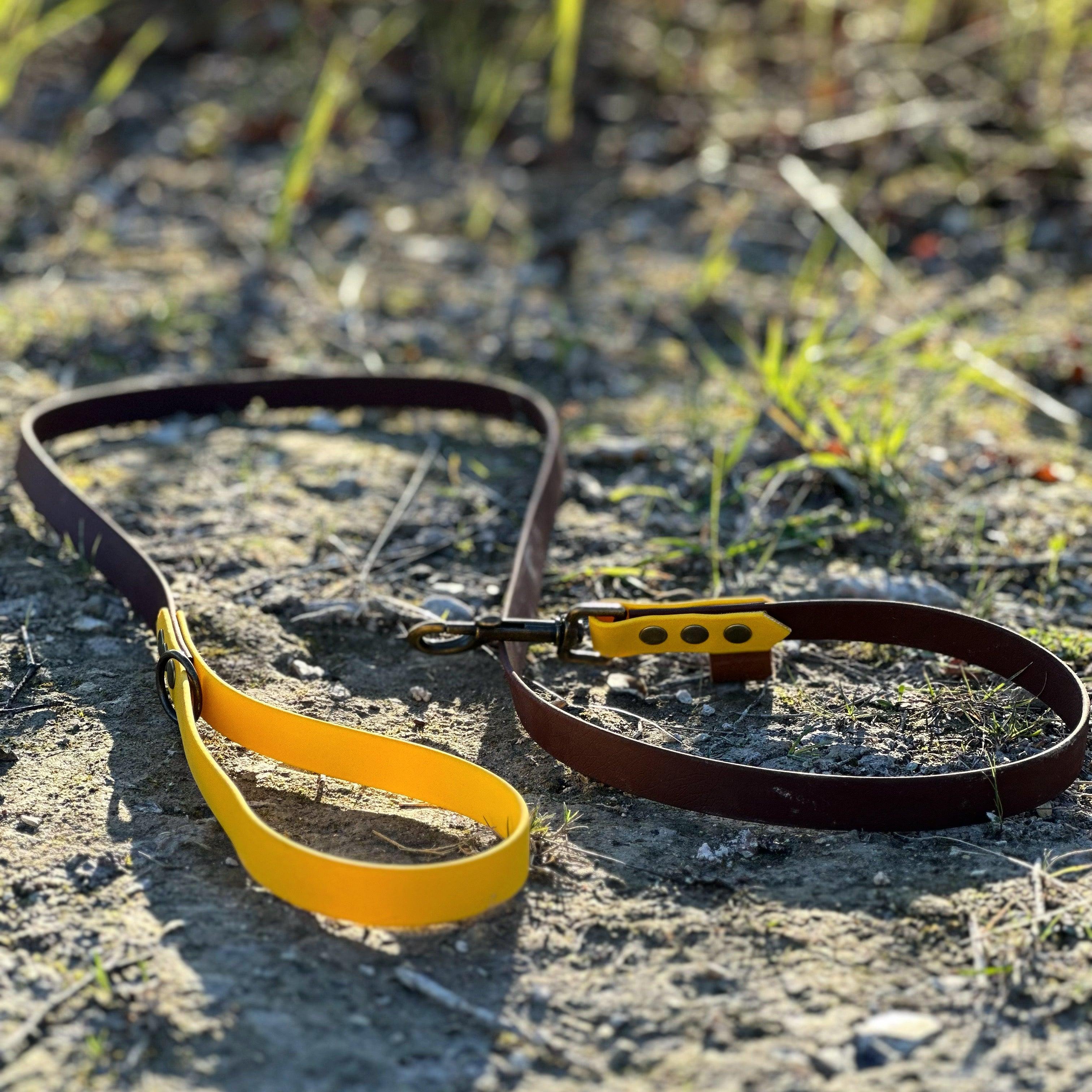 Hundeudstyr der holder til at blive brugt … Igen og igen! - HipsterHound