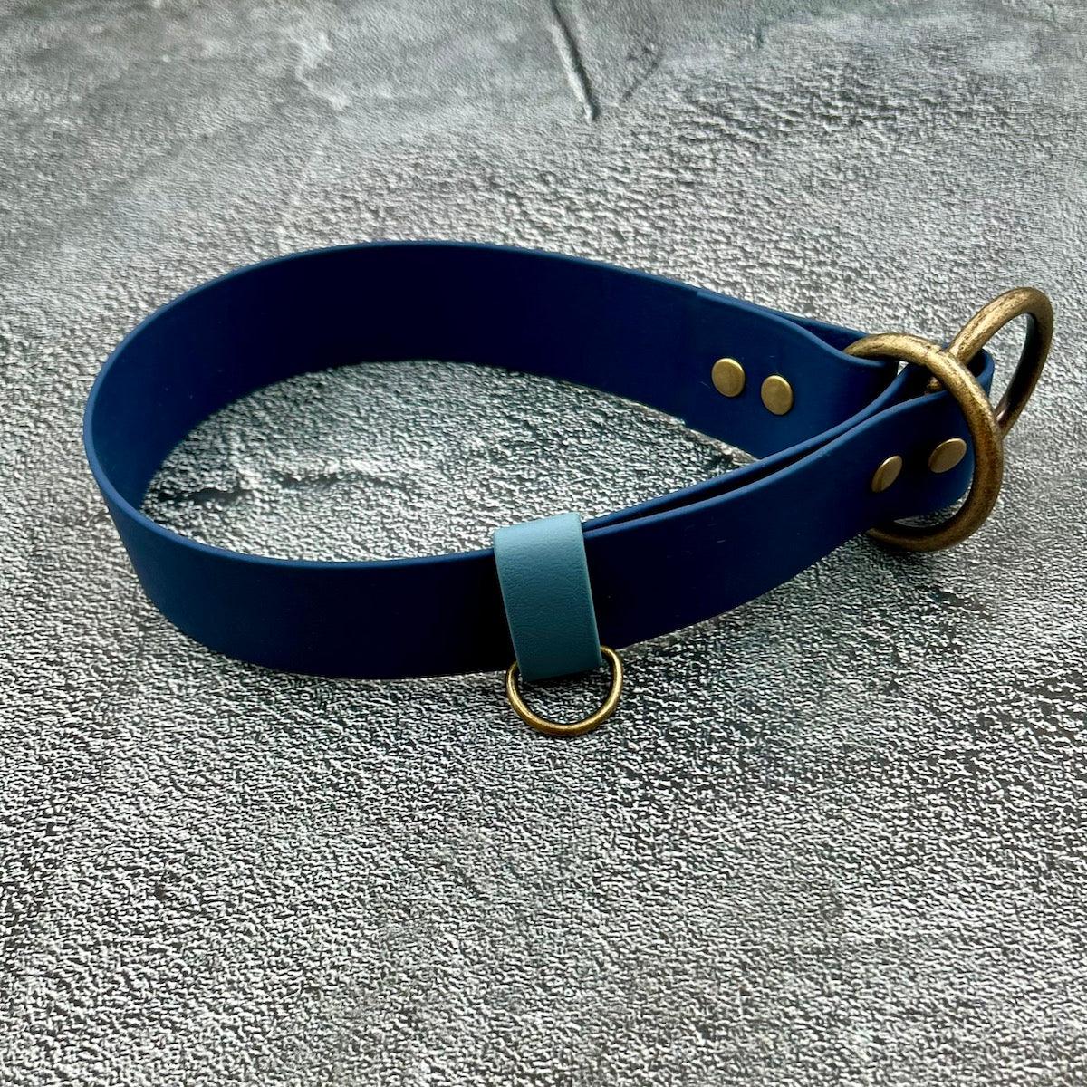 BigSlip - hundehalsbånd - HipsterHound