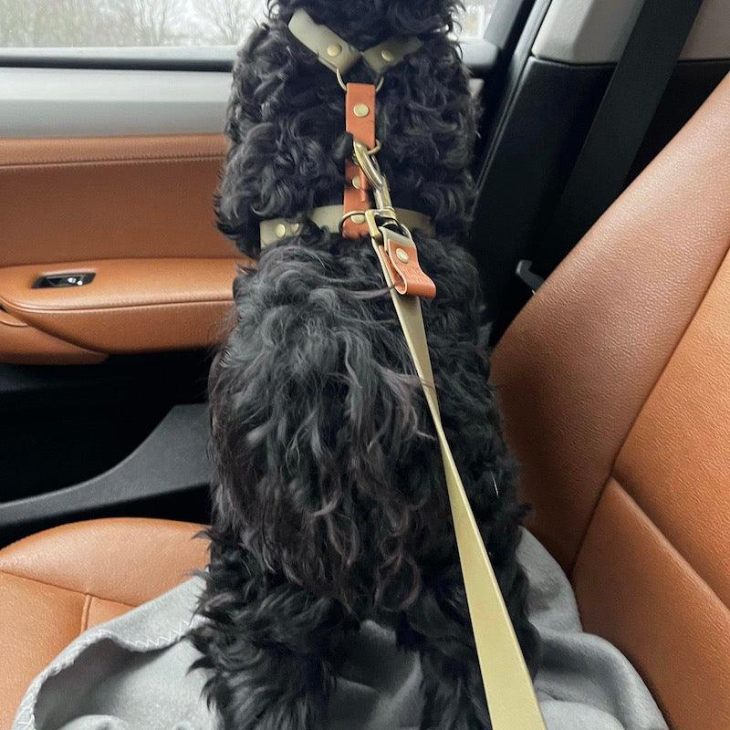 Hunde bil-sele - HipsterHound