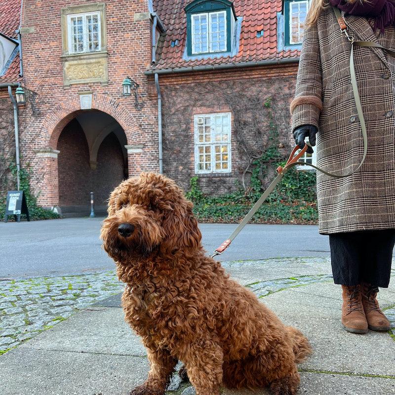 Freedom - håndfri hundesnor - HipsterHound