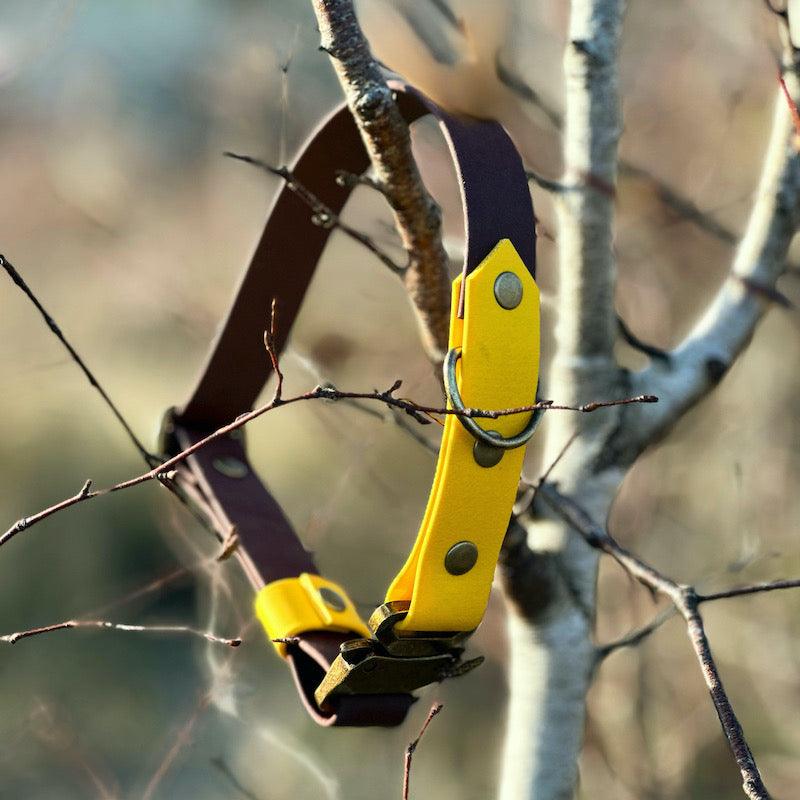 Chic - hundehalsbånd - HipsterHound