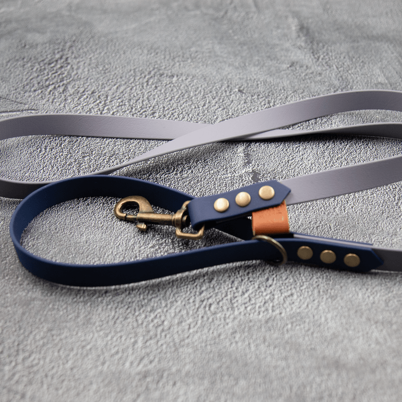 Chic - hundesnor - HipsterHound