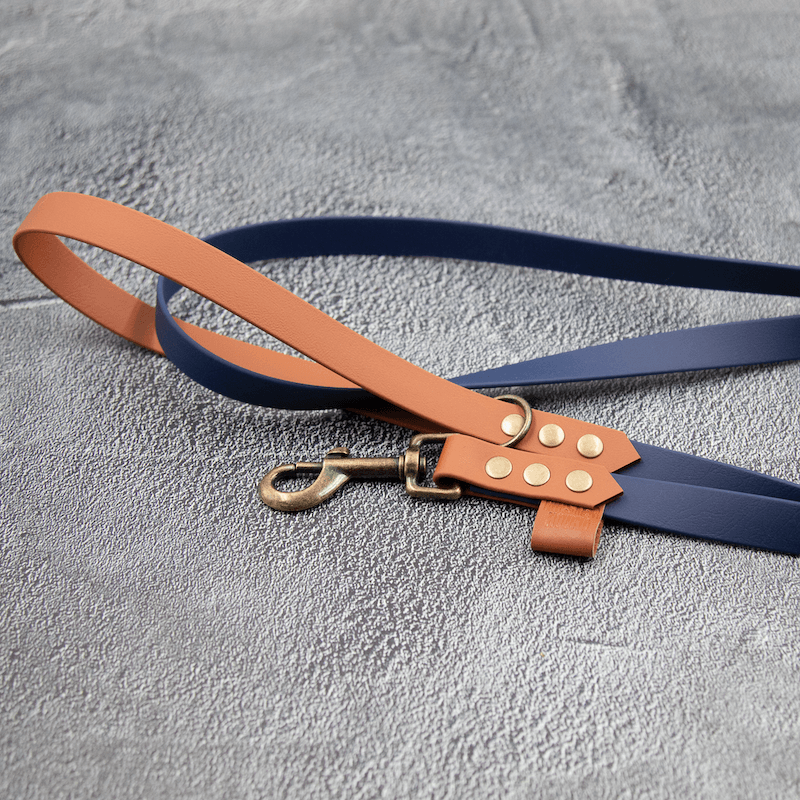 Chic - hundesnor - HipsterHound