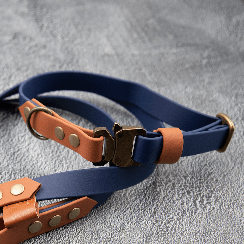 Chic - hundehalsbånd - HipsterHound