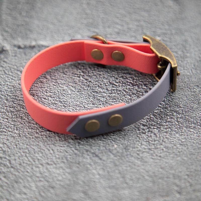 Essential - hundehalsbånd - HipsterHound