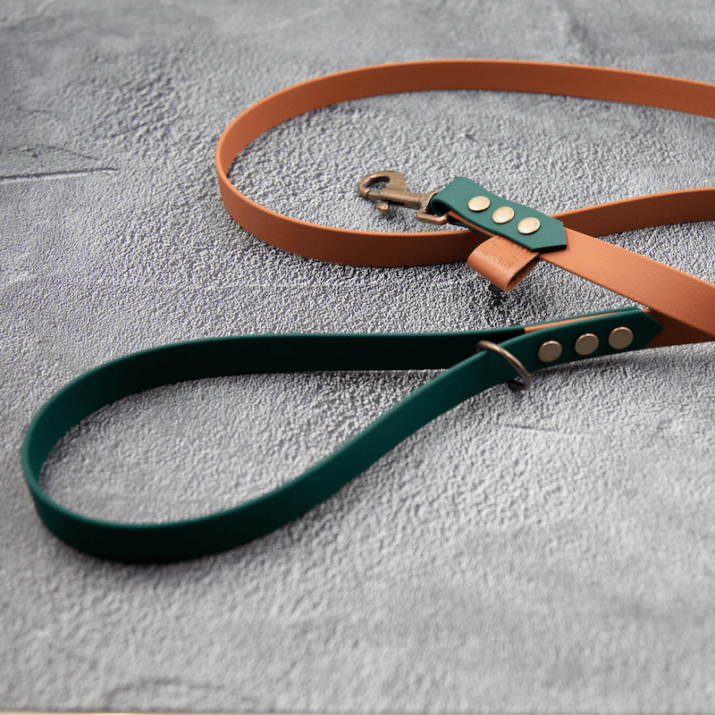 Chic - hundesnor - HipsterHound