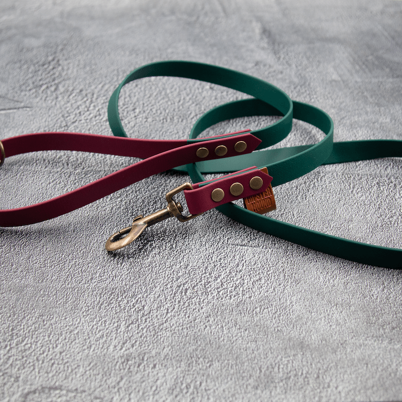 Chic - hundesnor - HipsterHound