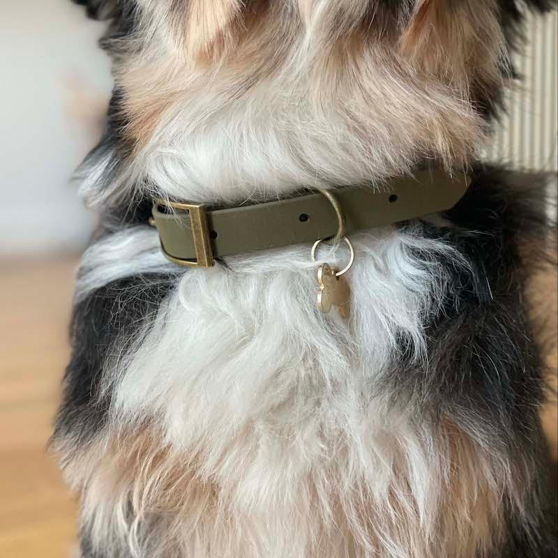Minimalist - hundehalsbånd - HipsterHound