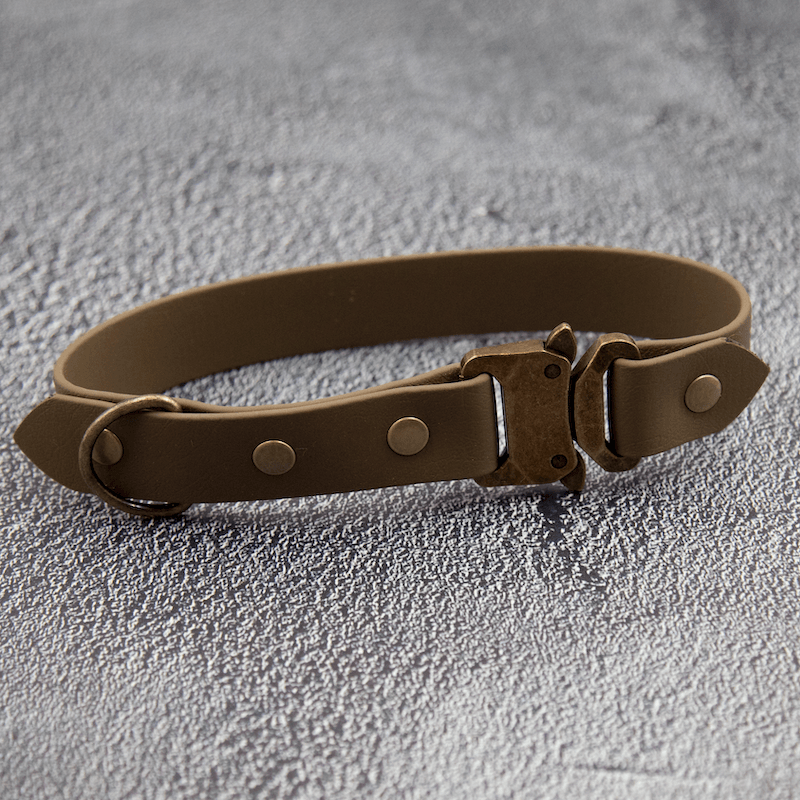 Custom - hundehalsbånd - HipsterHound