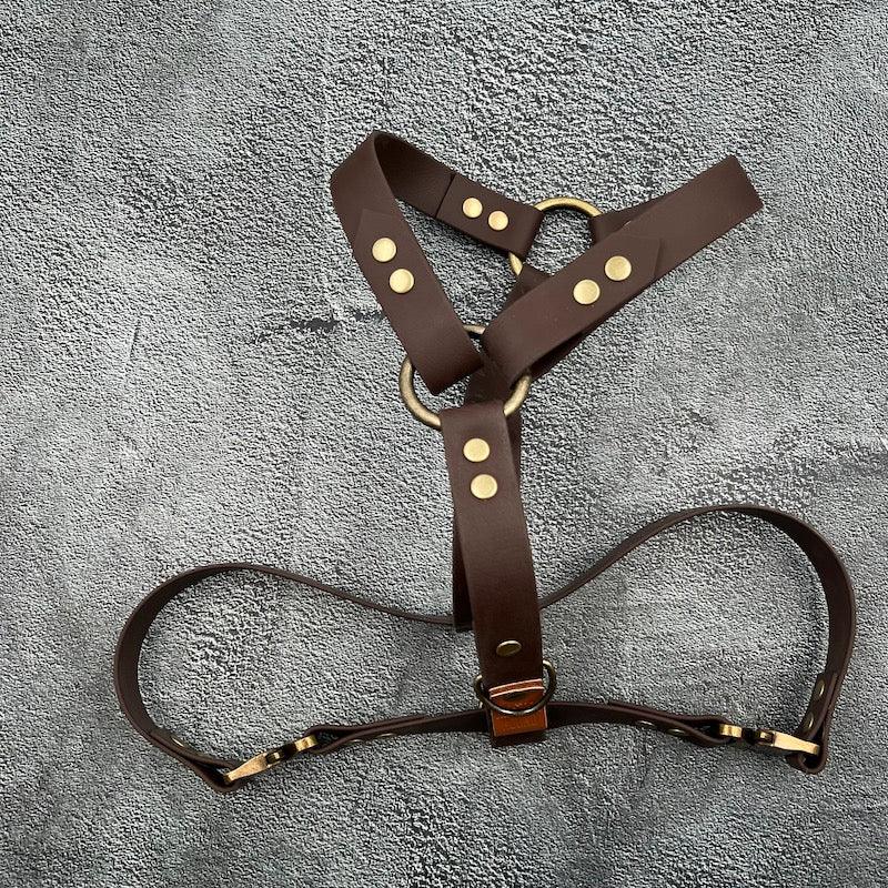 Explorer Y-Sele til hund - HipsterHound