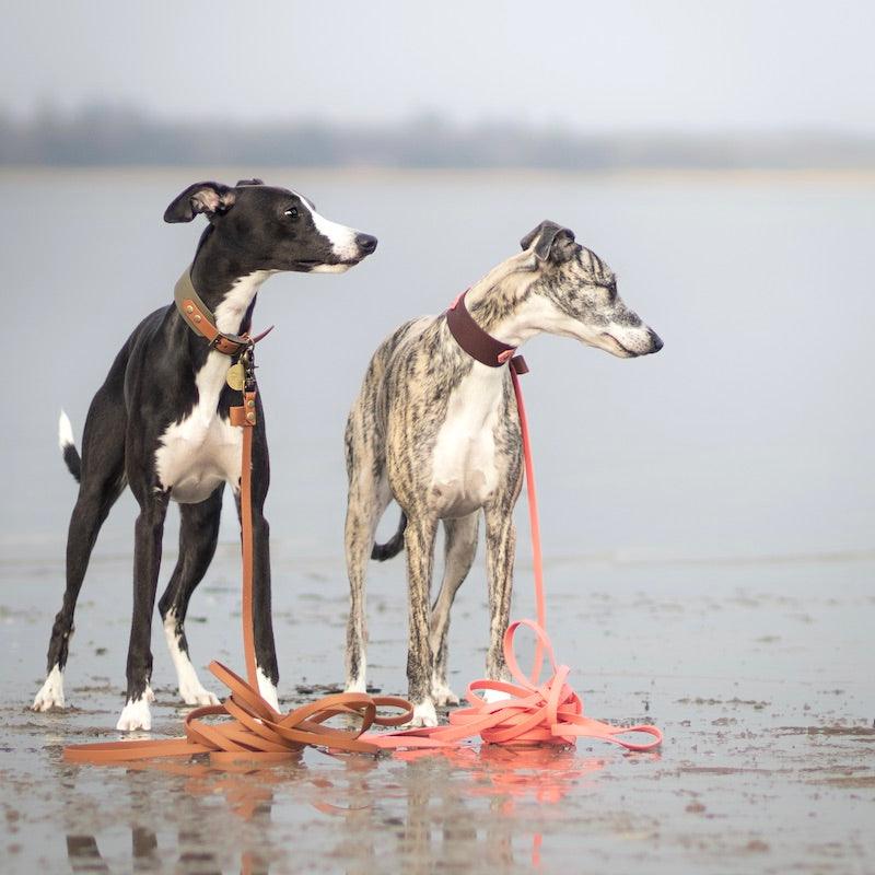 Explorer lang line - HipsterHound