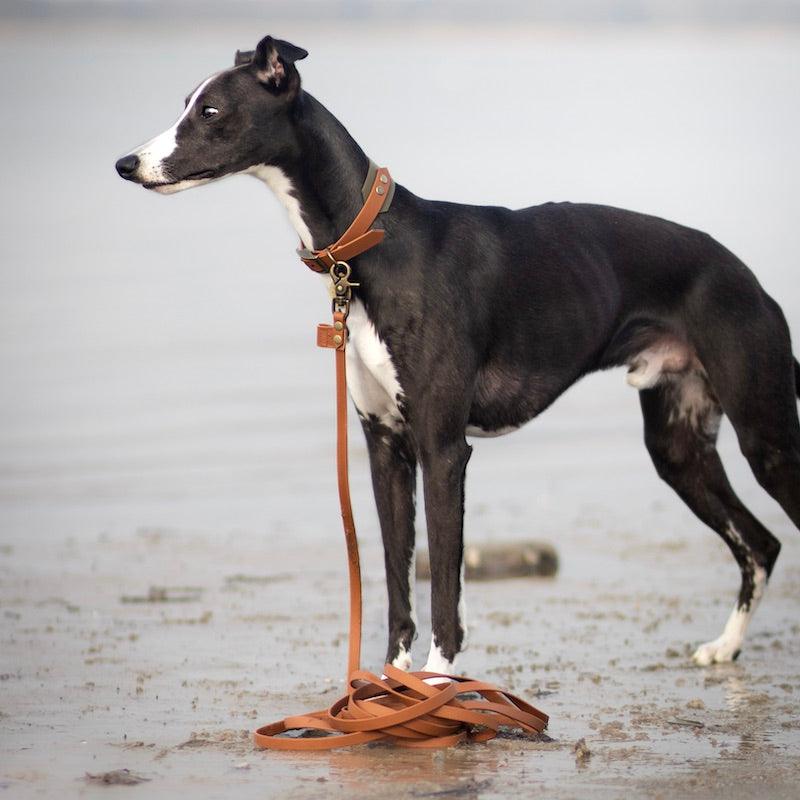 Explorer lang line - HipsterHound