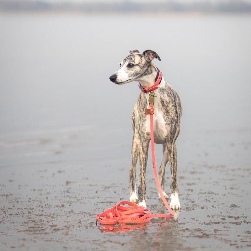 Explorer lang line - HipsterHound