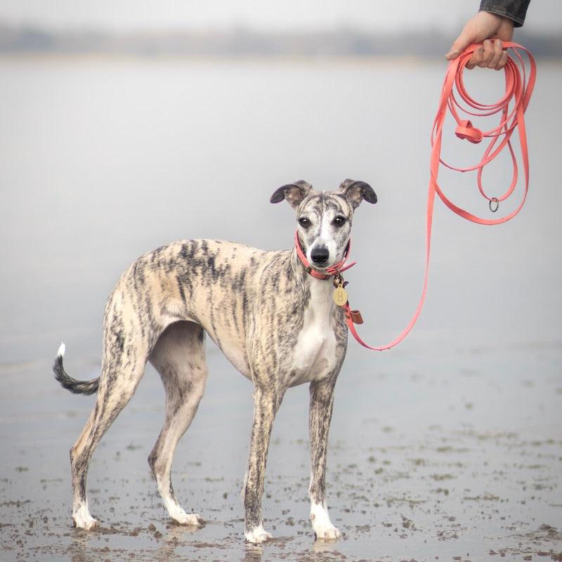 Explorer lang line - HipsterHound