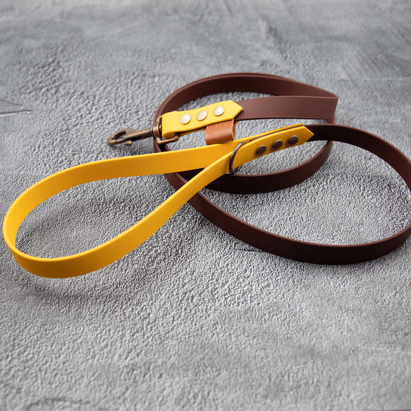 Chic - hundesnor - HipsterHound