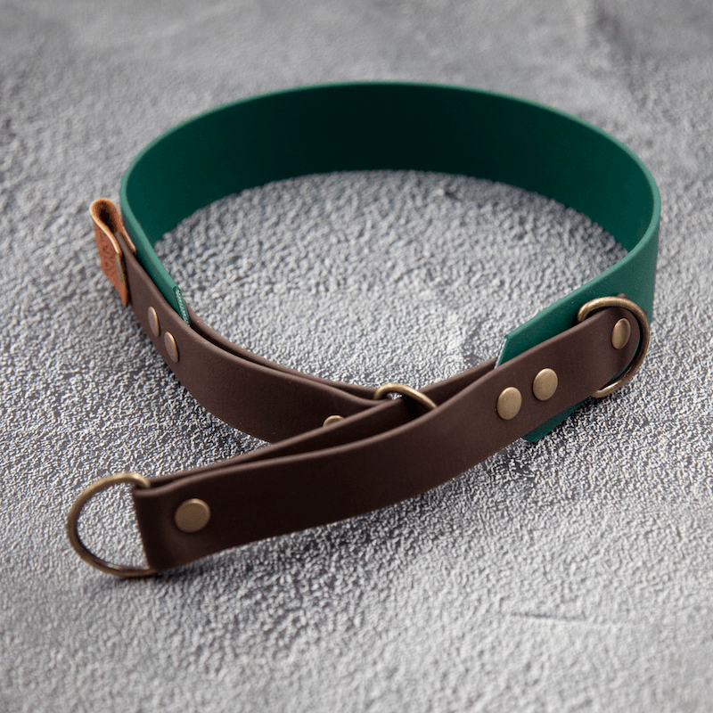 Controlled Slip - hundehalsbånd - HipsterHound