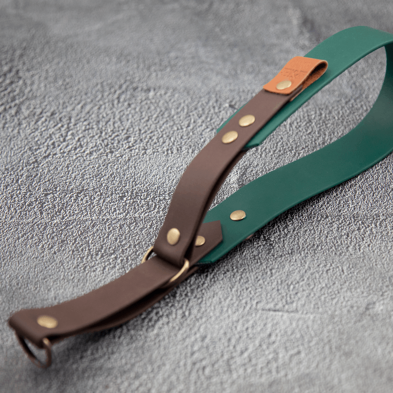 Controlled Slip - hundehalsbånd - HipsterHound