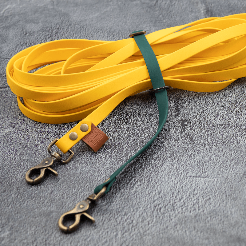 BioThane Sporline - HipsterHound