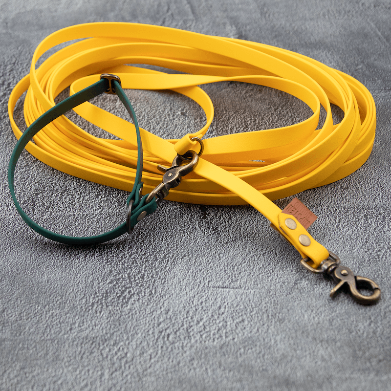 BioThane Sporline - HipsterHound