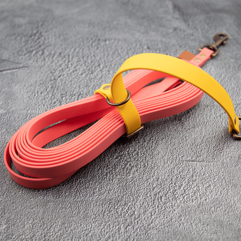 BioThane Sporline - HipsterHound