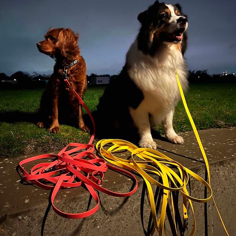 BioThane Sporline - HipsterHound