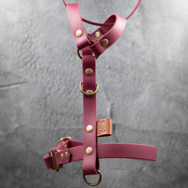 Comfort Y-Sele til hund - HipsterHound