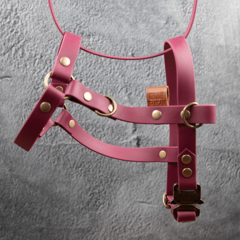 Comfort Y-Sele til hund - HipsterHound